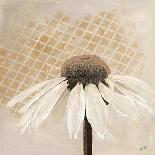 Moroccan Daisy 1-Walela R.-Art Print