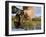 Wales, Conwy, Trout Fishing at a Hill Lake in North Wales, UK-John Warburton-lee-Framed Photographic Print