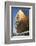 Wales Millennium Centre, Cardiff Bay, Cardiff, South Glamorgan, Wales, United Kingdom, Europe-Neale Clark-Framed Photographic Print