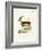 Walia Ibex-null-Framed Giclee Print