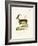 Walia Ibex-null-Framed Giclee Print