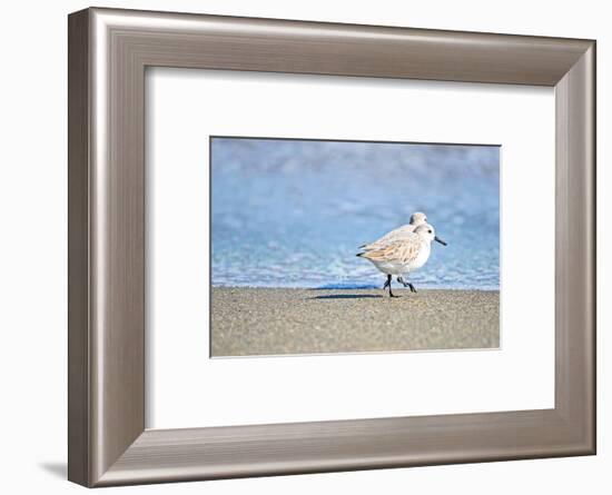 Walk Along The Coast-Bruce Nawrocke-Framed Photographic Print