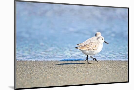 Walk Along The Coast-Bruce Nawrocke-Mounted Photographic Print