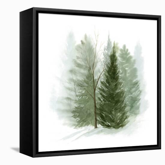 Walk in the Woods I-Grace Popp-Framed Stretched Canvas