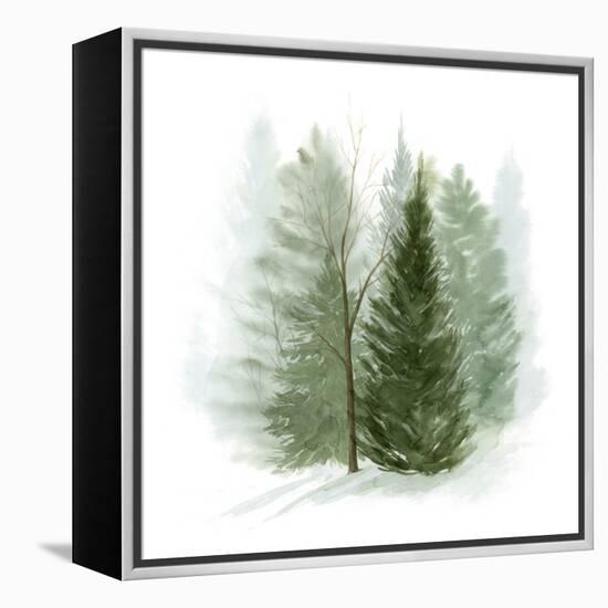 Walk in the Woods I-Grace Popp-Framed Stretched Canvas