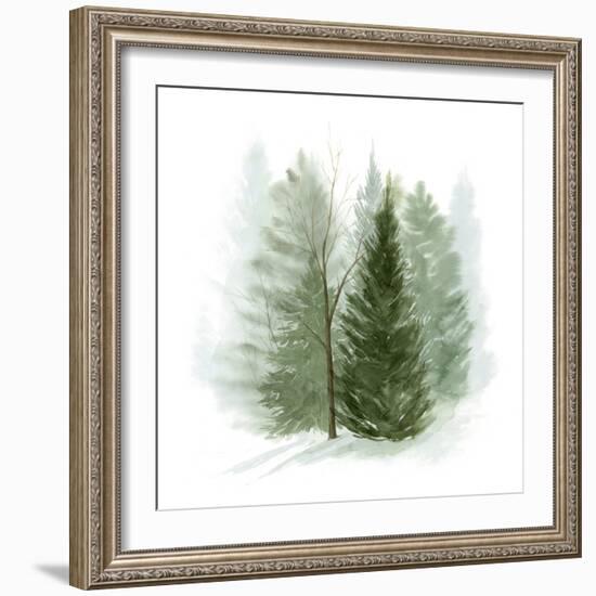 Walk in the Woods I-Grace Popp-Framed Art Print