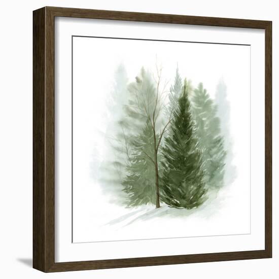 Walk in the Woods I-Grace Popp-Framed Art Print