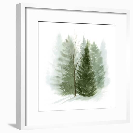 Walk in the Woods I-Grace Popp-Framed Art Print