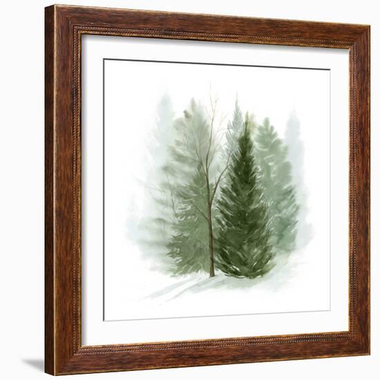 Walk in the Woods I-Grace Popp-Framed Art Print