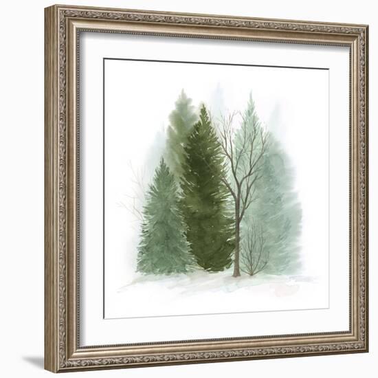 Walk in the Woods II-Grace Popp-Framed Art Print