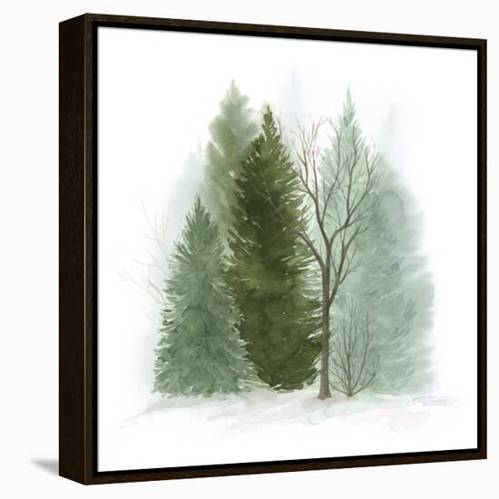 Walk in the Woods II-Grace Popp-Framed Stretched Canvas