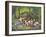 Walk in the Woods-Carol Salas-Framed Giclee Print