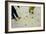 Walk-on Street Map In Paris.-Mark Williamson-Framed Photographic Print