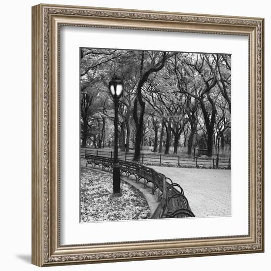 Walk Through the Park-Erin Clark-Framed Giclee Print