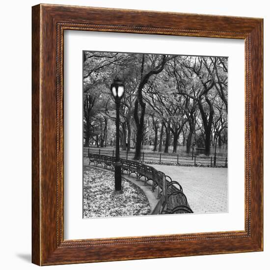 Walk Through the Park-Erin Clark-Framed Giclee Print