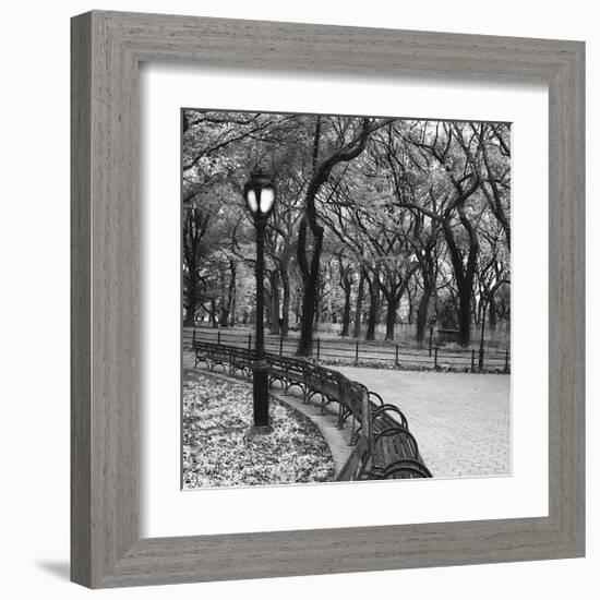 Walk Through the Park-Erin Clark-Framed Giclee Print