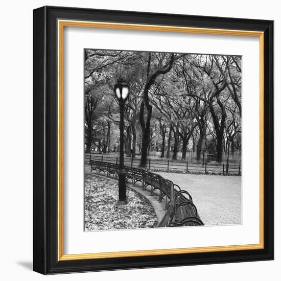 Walk Through the Park-Erin Clark-Framed Giclee Print