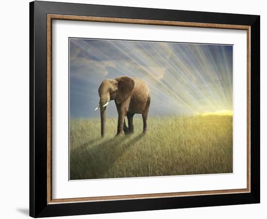 Walk With the Light-Ben Heine-Framed Photographic Print