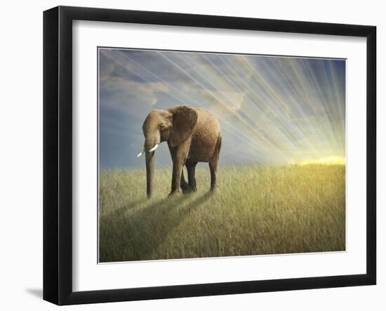 Walk With the Light-Ben Heine-Framed Photographic Print