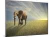 Walk With the Light-Ben Heine-Mounted Photographic Print