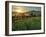 Walker Basin I-Mark Geistweite-Framed Photographic Print