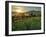 Walker Basin I-Mark Geistweite-Framed Photographic Print