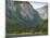 Walker Cove Area of Misty Fjords National Monument Wilderness Area, Alaska-Michael DeFreitas-Mounted Photographic Print