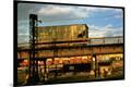 Photographic Print