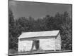 Photographic Print