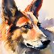 Premium Giclee Print