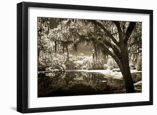 Walker's Pond II-Alan Hausenflock-Framed Photographic Print