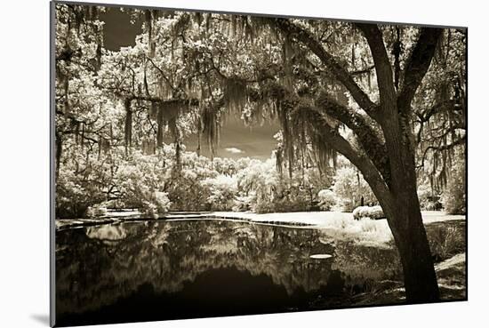 Walker's Pond II-Alan Hausenflock-Mounted Photographic Print