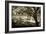 Walker's Pond II-Alan Hausenflock-Framed Photographic Print