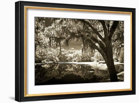 Walker's Pond II-Alan Hausenflock-Framed Photographic Print