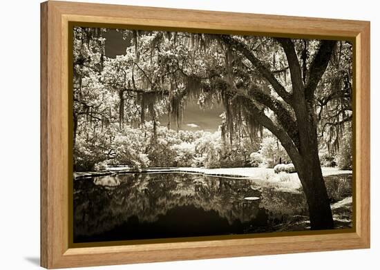 Walker's Pond II-Alan Hausenflock-Framed Premier Image Canvas