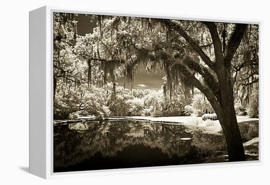Walker's Pond II-Alan Hausenflock-Framed Premier Image Canvas