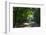 Walkers on a forest road in the Pfalz area, Germany, Europe-James Emmerson-Framed Photographic Print