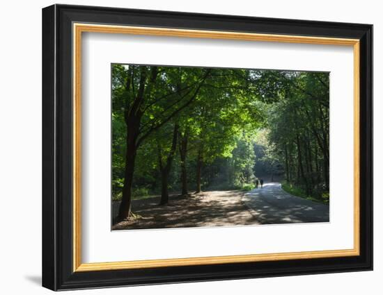 Walkers on a forest road in the Pfalz area, Germany, Europe-James Emmerson-Framed Photographic Print