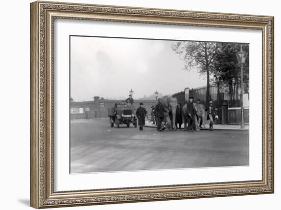 Walking a Pair of Elephants from the Docks in 1923 to Zsl London Zoo-Frederick William Bond-Framed Photographic Print