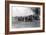 Walking a Pair of Elephants from the Docks in 1923 to Zsl London Zoo-Frederick William Bond-Framed Photographic Print