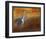 Walking Cranes-Chris Vest-Framed Art Print