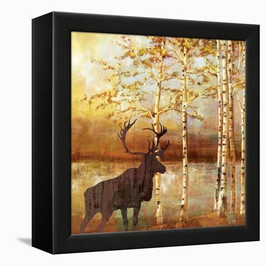 Walking Face-Andrew Michaels-Framed Stretched Canvas