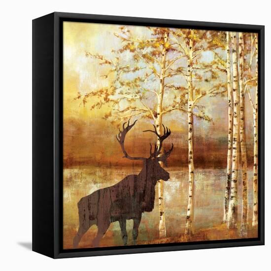 Walking Face-Andrew Michaels-Framed Stretched Canvas