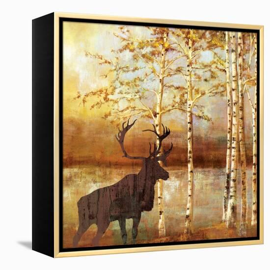 Walking Face-Andrew Michaels-Framed Stretched Canvas