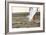 Walking Forward-mimagephotography-Framed Photographic Print