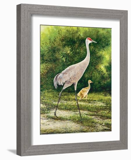 Walking From A Distance-Bruce Nawrocke-Framed Art Print