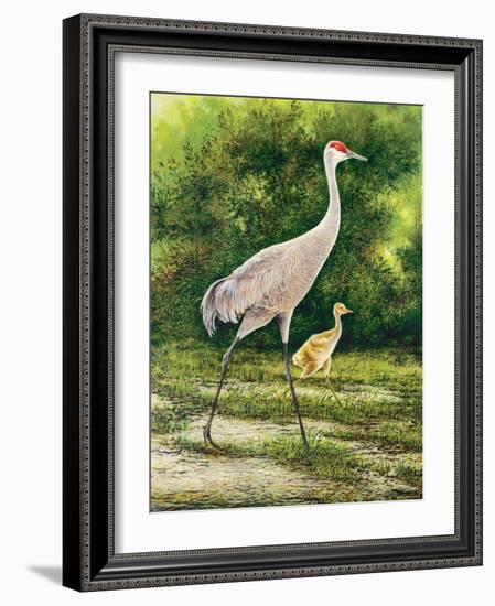 Walking From A Distance-Bruce Nawrocke-Framed Art Print