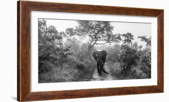 Walking Giant-Jaco Marx-Framed Photographic Print