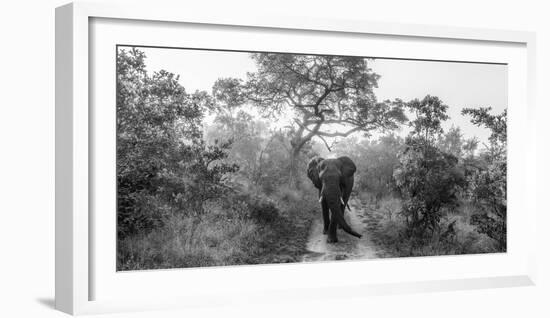 Walking Giant-Jaco Marx-Framed Photographic Print