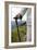 Walking In Switzerland-Cristina-Framed Photographic Print